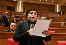 النائبة جيهان شاهين