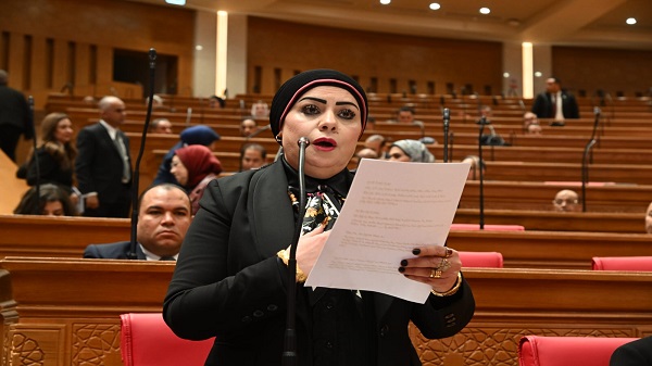 النائبة جيهان شاهين