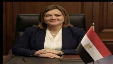 ماريان شحاتة