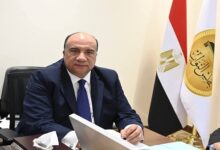 محمد مصيلحي