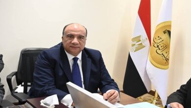 محمد مصيلحي