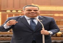 النائب عصام هلال عفيفي