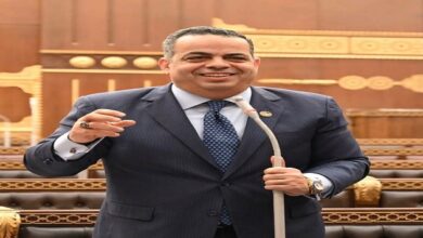 النائب عصام هلال عفيفي