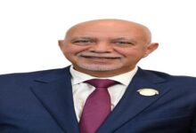 المهندس حازم الجندي، عضو مجلس الشيوخ