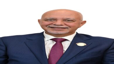 المهندس حازم الجندي، عضو مجلس الشيوخ