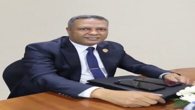 النائب محمد حمزه